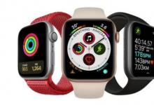 Apple Watch的紧急SOS功能可在海上挽救两艘搁浅的皮艇