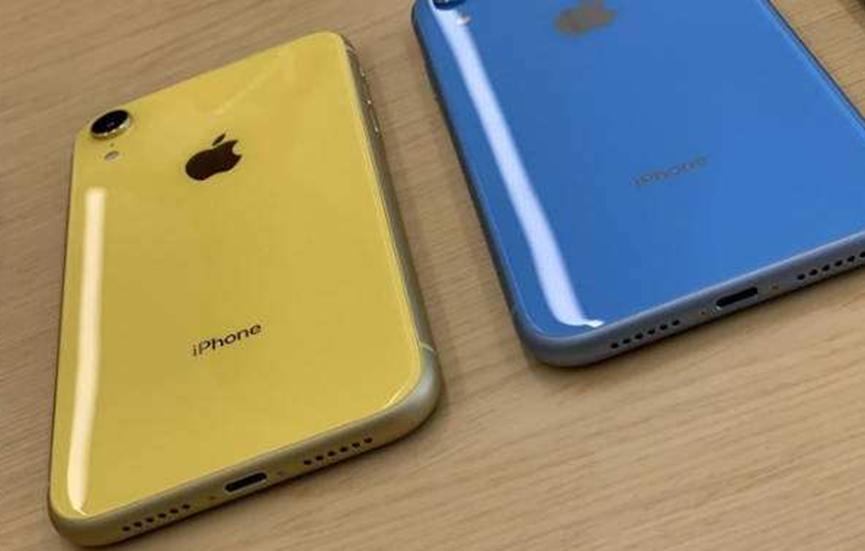 ​iPhone XR iPhone 11在印度2019年第四季度录得41％的大幅增长